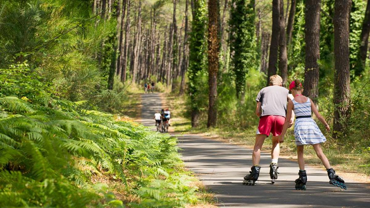 Randonn E Dans Les Landes Pied Ou V Lo C Te Landes Nature Tourisme