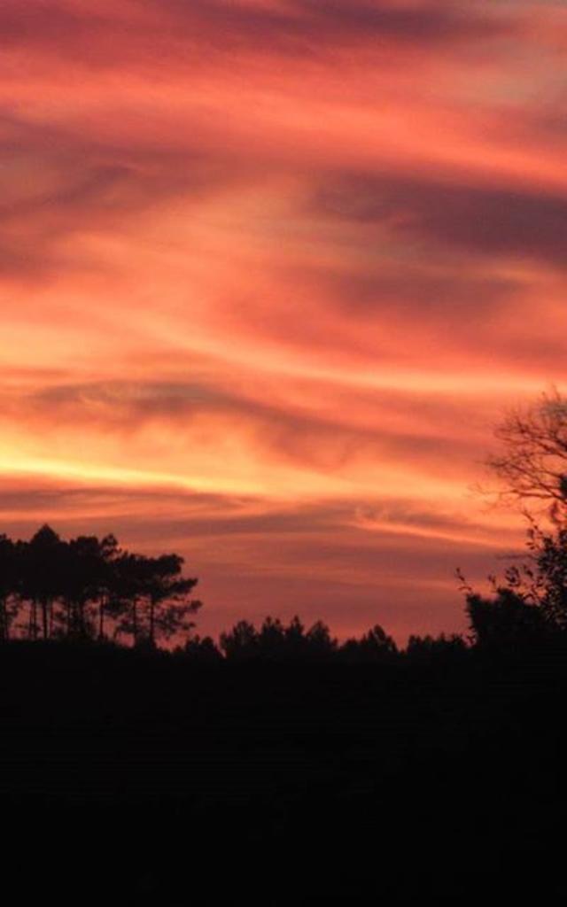 Coucher de Soleil | Côte Landes Nature