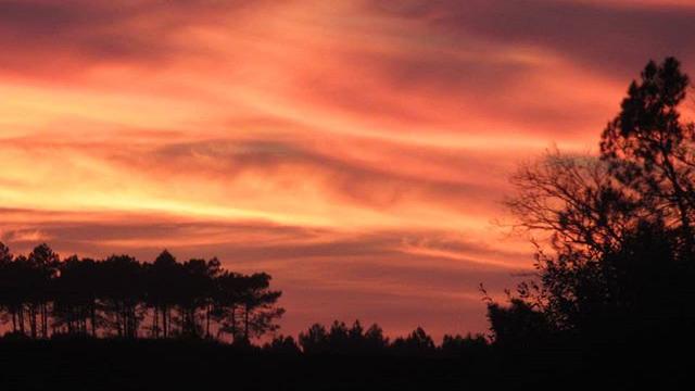 Coucher de Soleil | Côte Landes Nature