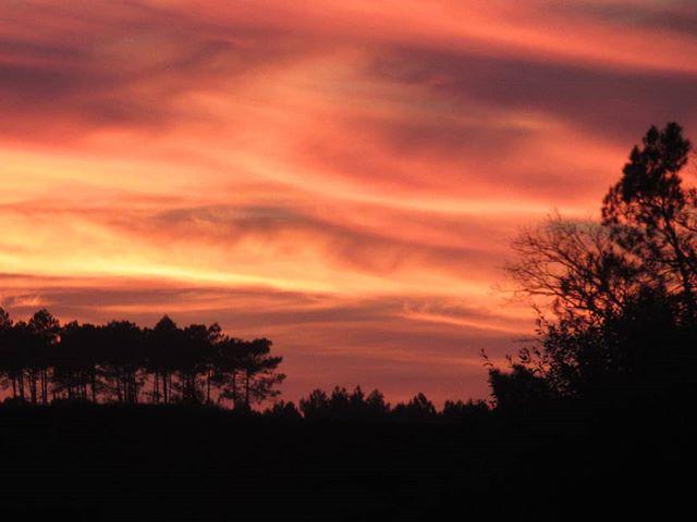 Coucher de Soleil | Côte Landes Nature