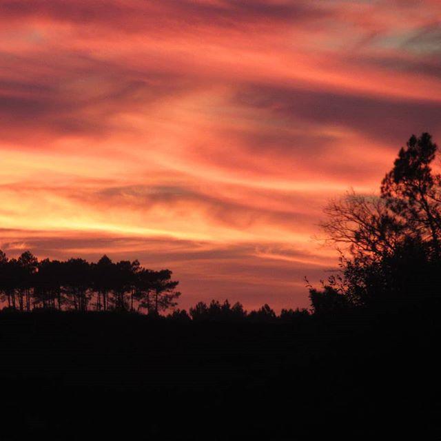 Coucher de Soleil | Côte Landes Nature