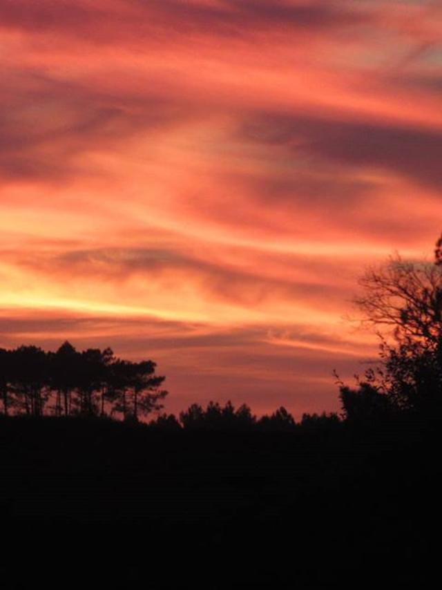 Coucher de Soleil | Côte Landes Nature