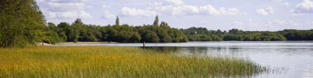 Lac de Léon | Côte Landes Nature