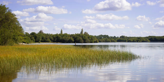 Lac de Léon | Côte Landes Nature