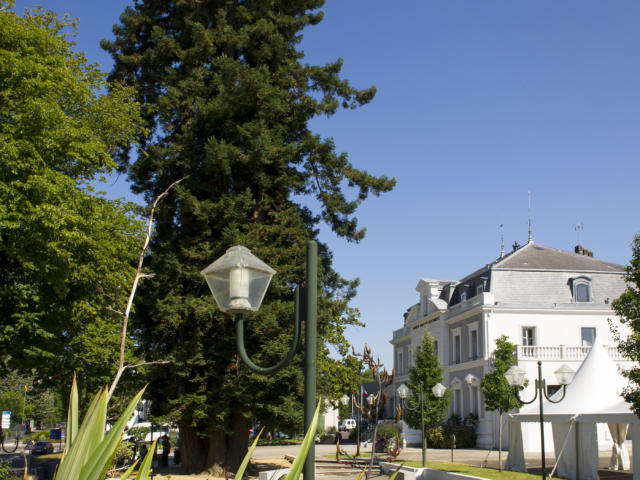 Castets des Landes | Côte Landes Nature