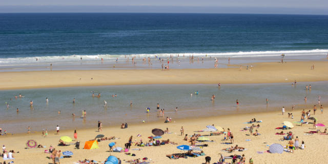 Contis Plage | Côte Landes Nature