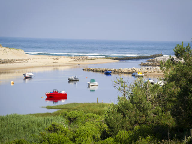 Courant de Contis | Côte Landes Nature