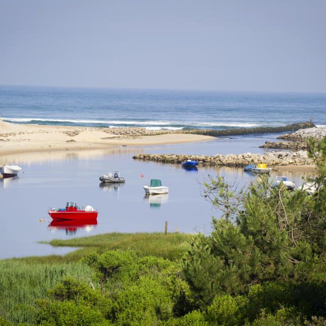 Courant de Contis | Côte Landes Nature