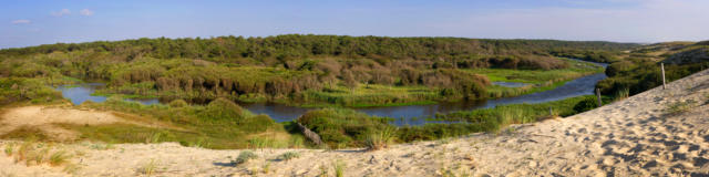 Le Courant d'Huchet | Côte Landes Nature Tourisme