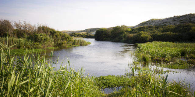 Courant d'Huchet au départ du Lac de Léon | Côte Landes Nature