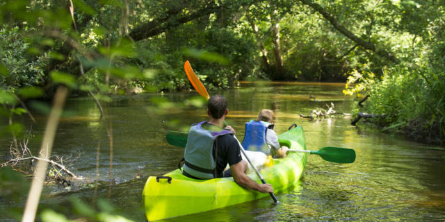 Descendre la Palue en canoë | Côte Landes Nature Tourisme