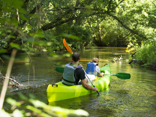 Descendre la Palue en canoë | Côte Landes Nature Tourisme