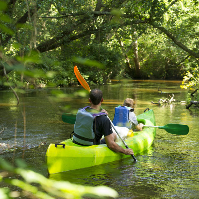 Descendre la Palue en canoë | Côte Landes Nature Tourisme