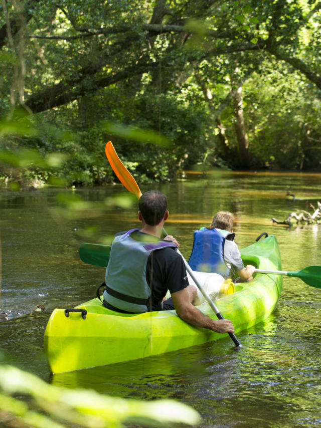 Descendre la Palue en canoë | Côte Landes Nature Tourisme