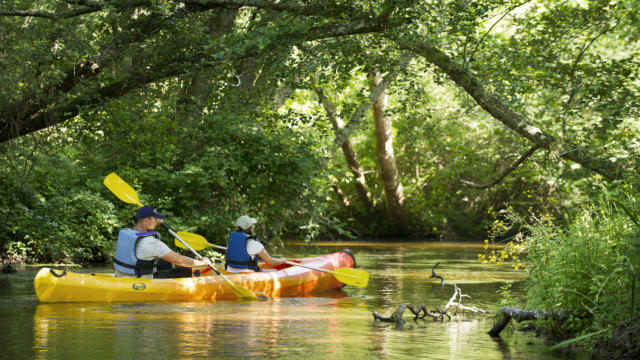 Descendre la Palue en canoë | Côte Landes Nature Tourisme