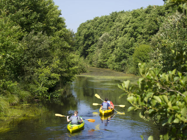 Canoë à Castets | Côte Lande Nature