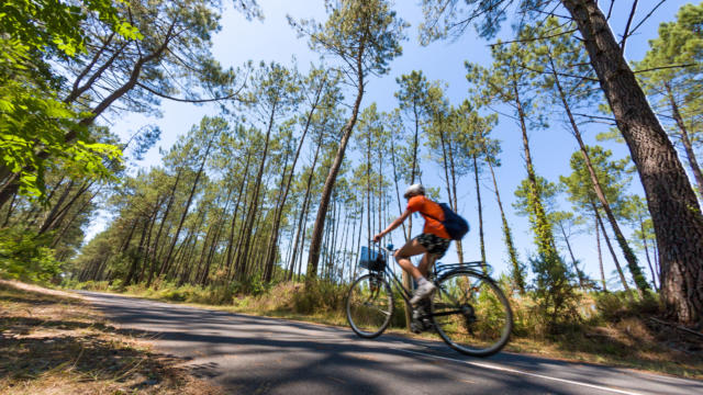 Piste cyclable à Léon | Côte Landes Nature