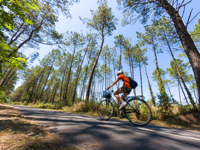 Piste cyclable à Léon | Côte Landes Nature