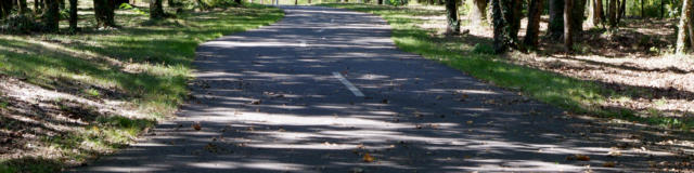 Piste cyclable Lo Camin de Hè à Castets vers Linxe | Côte Landes Nature