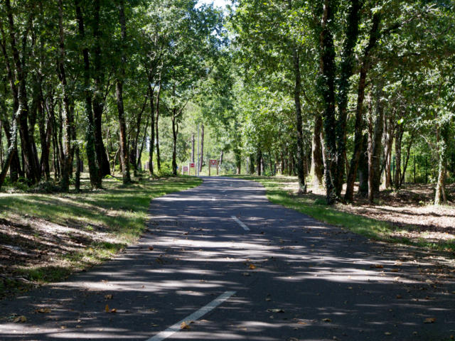 Piste cyclable Lo Camin de Hè à Castets vers Linxe | Côte Landes Nature