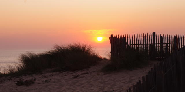 Contis Plage | Côte Landes Nature