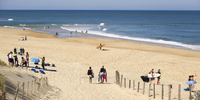 Plage de La Lette Blanche | Côte Landes Nature