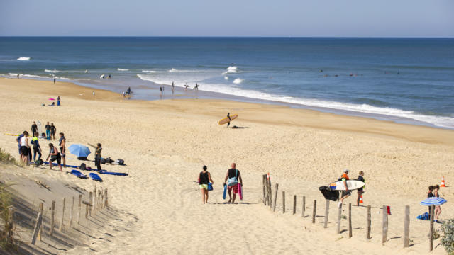 Plage de La Lette Blanche | Côte Landes Nature