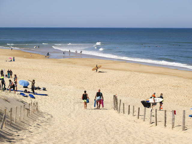 Plage de La Lette Blanche | Côte Landes Nature