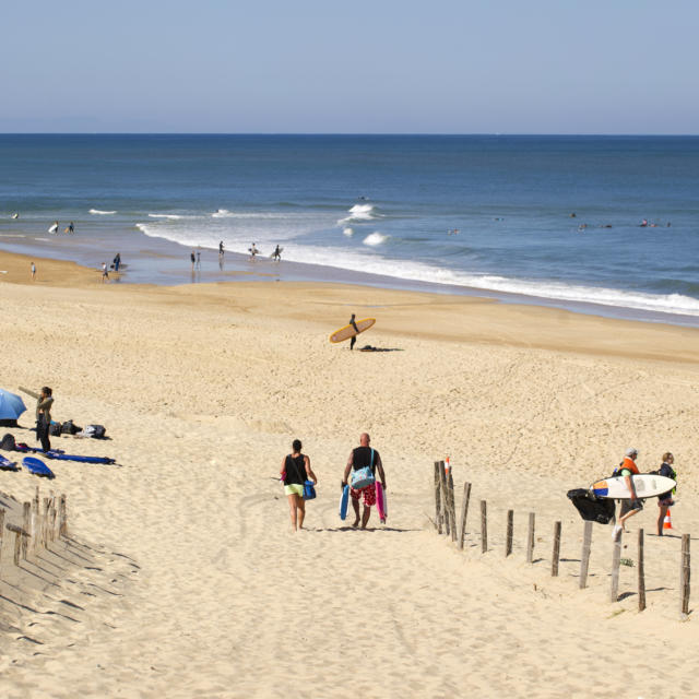 Plage de La Lette Blanche | Côte Landes Nature