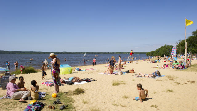 Plage du Lac de Léon | Côte Landes Nature