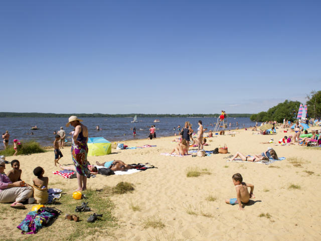 Plage du Lac de Léon | Côte Landes Nature