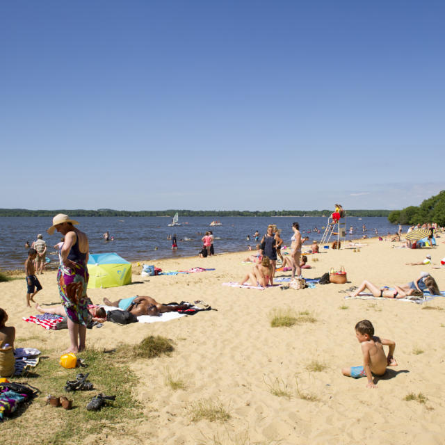 Plage du Lac de Léon | Côte Landes Nature