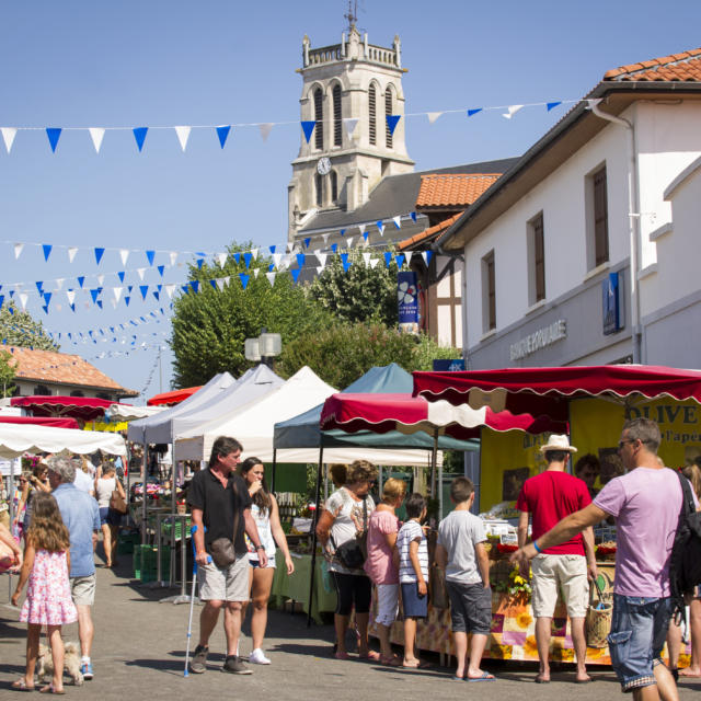 Marché à Léon | Côte Landes Nature