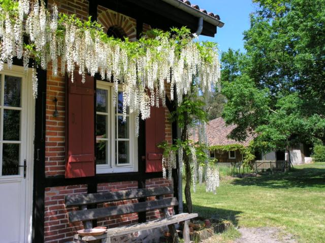 Maison Landaise typique | Côte Landes Nature