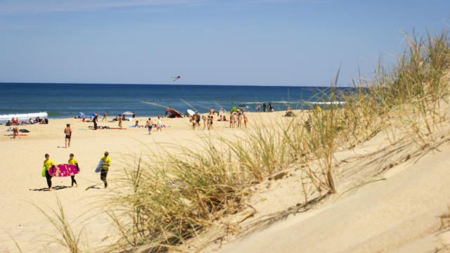 Saint Girons Plage | Côte Landes Nature