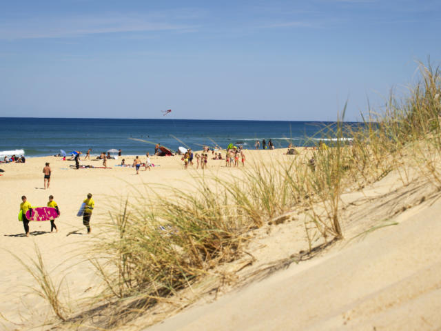 Saint Girons Plage | Côte Landes Nature