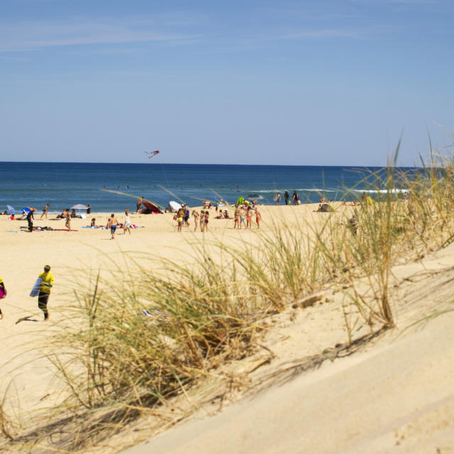 Saint Girons Plage | Côte Landes Nature