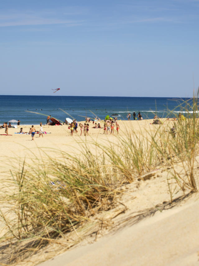 Saint Girons Plage | Côte Landes Nature