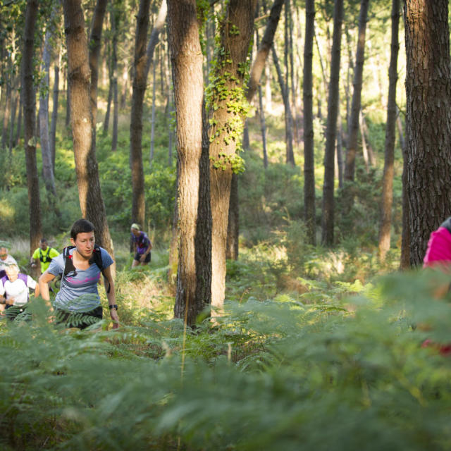 Trail dans la forêt à Saint Girons