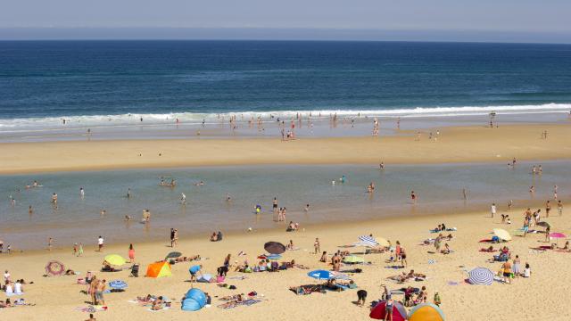 Contis Plage | Côte Landes Nature