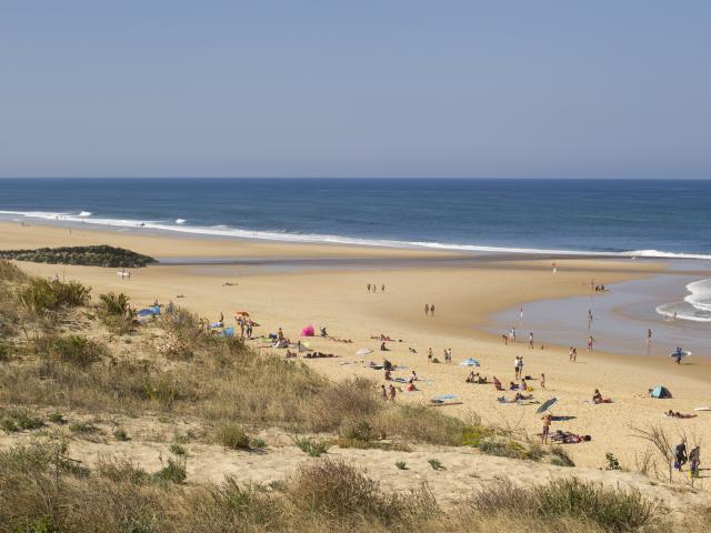 Contis Plage | Côte Landes Nature