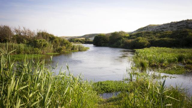 Courant d'Huchet au départ du Lac de Léon | Côte Landes Nature