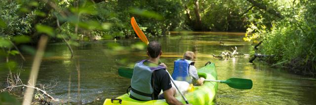 Descendre la Palue en canoë | Côte Landes Nature Tourisme