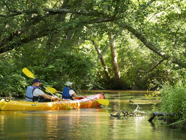 Descendre la Palue en canoë | Côte Landes Nature Tourisme