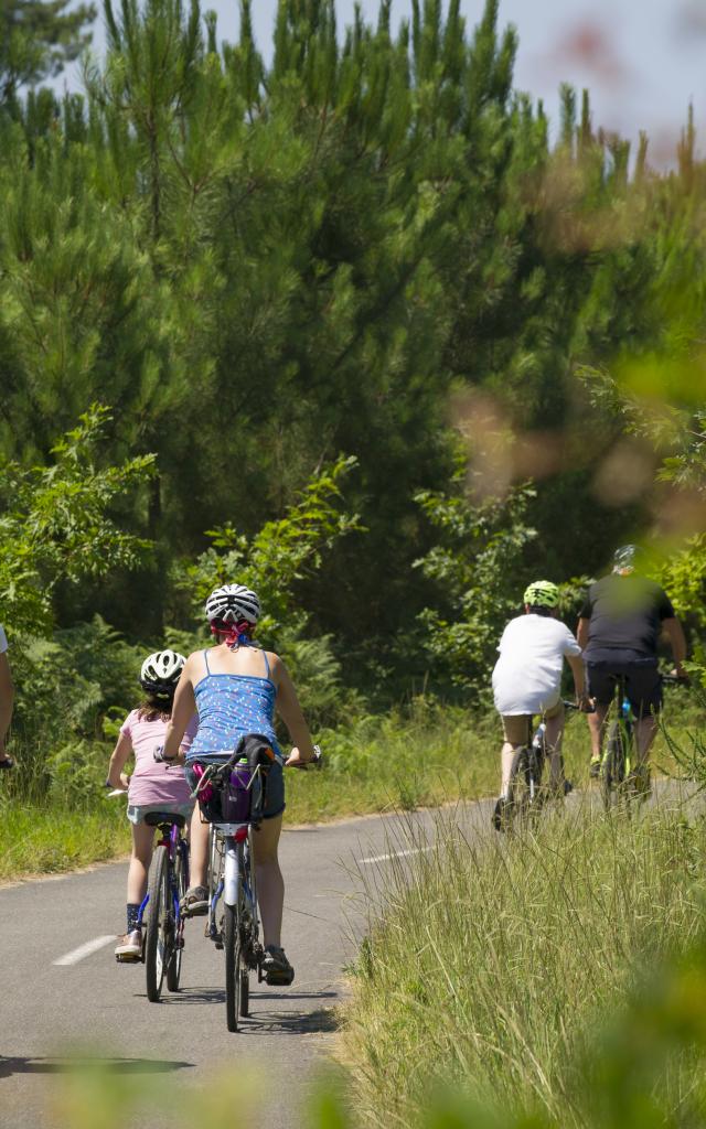 La Piste Cyclable du Vignac | Côte Landes Nature