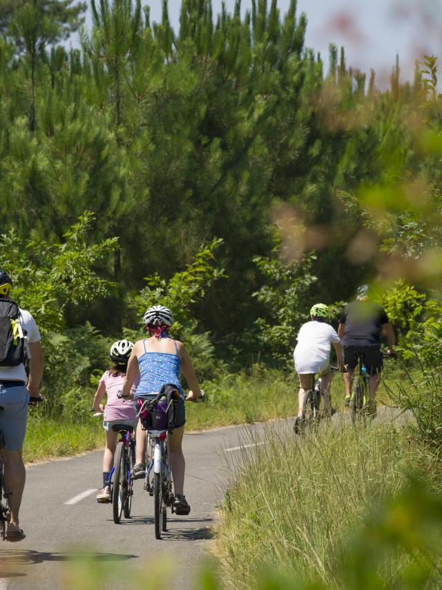 La Piste Cyclable du Vignac | Côte Landes Nature