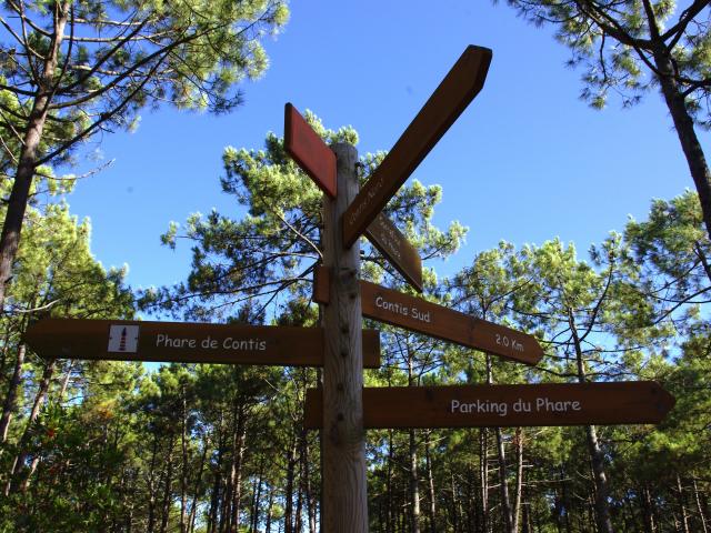 Piste Cyclable en Côte Landes Nature