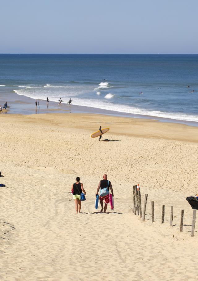 Plage de La Lette Blanche | Côte Landes Nature