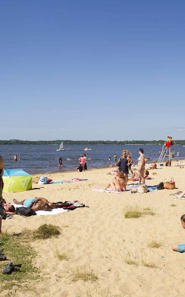 Plage du Lac de Léon | Côte Landes Nature