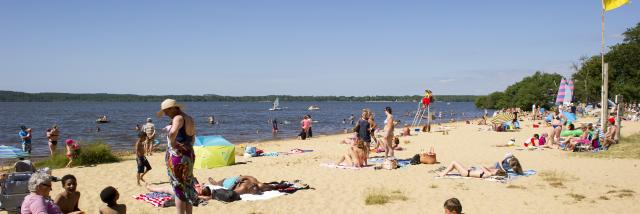 Plage du Lac de Léon | Côte Landes Nature